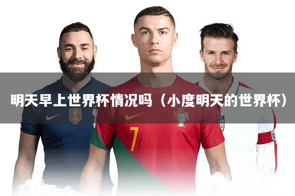 明天早上世界杯情况吗（小度明天的世界杯）