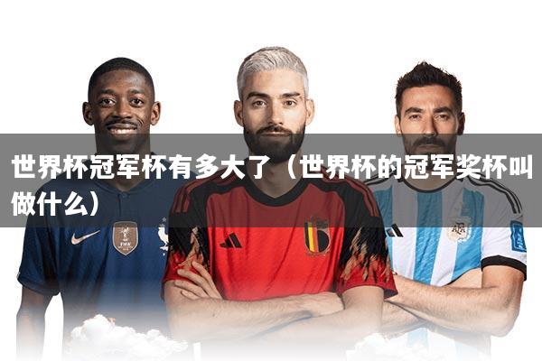 世界杯冠军杯有多大了（世界杯的冠军奖杯叫做什么）