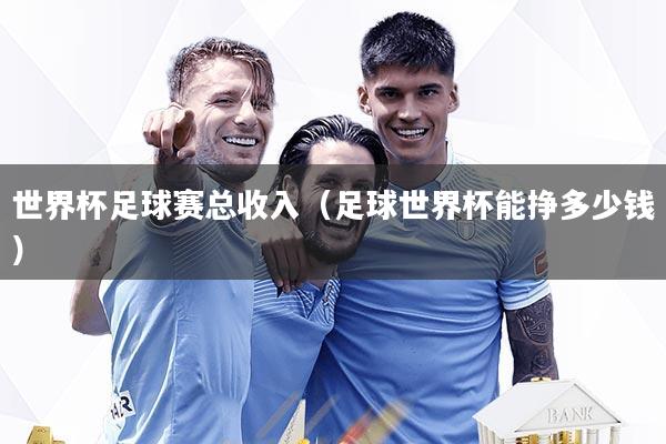 世界杯足球赛总收入（足球世界杯能挣多少钱）