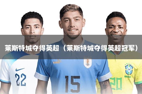 莱斯特城夺得英超(莱斯特城夺得英超冠军)