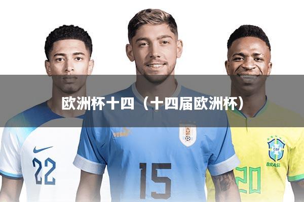 欧洲杯十四（十四届欧洲杯）